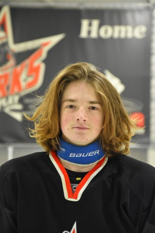 Gregor Visnar